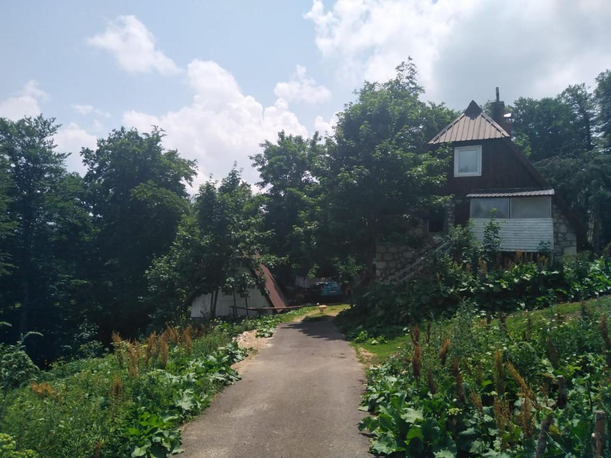 Dobre Vode 2 Lägenhet Žabljak Exteriör bild